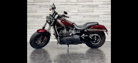 2015 Harley-Davidson Dyna Fat-bob