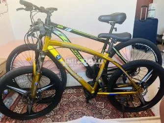 Couples bicycles with accessories and Christmas tree for free