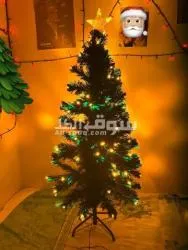 Couples bicycles with accessories and Christmas tree for free - 5