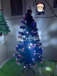 Couples bicycles with accessories and Christmas tree for free - 6