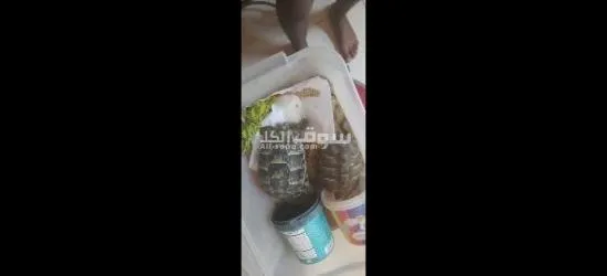 سلاحف للبيع