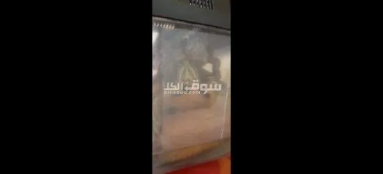 سلاحف للبيع - 2