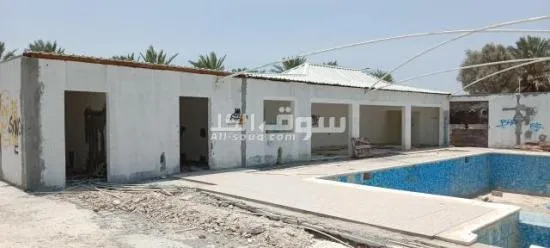 استراحة بركة سباحة - 2